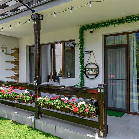 Ama Garden Apartment Busteni Exterior photo